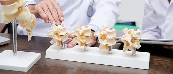 Spinal Disc Injury Education model with teacher